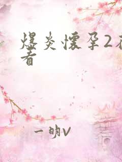 爆炎怀孕2在线看