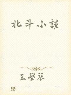 北斗小说