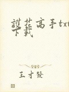 护花高手txt下载