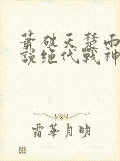 萧破天楚雨馨小说绝代战神
