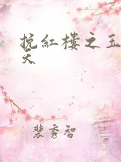 挽红楼之玉舞九天