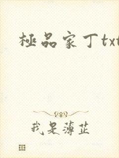 极品家丁txt
