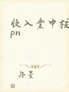 收入囊中校园hpn