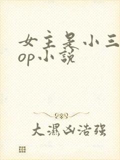 女主是小三的pop小说
