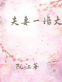 夫妻一场大结局