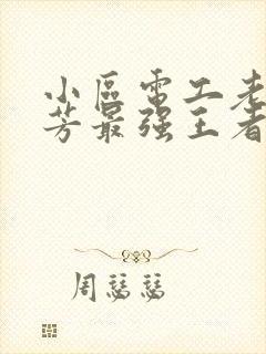 小区电工老周刘芳最强王者