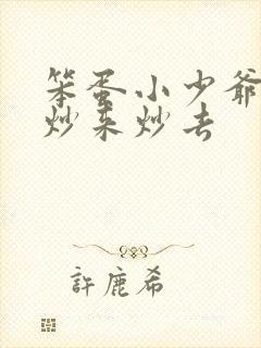 笨蛋小少爷又被炒来炒去