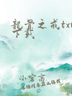 龙骨之戒txt下载