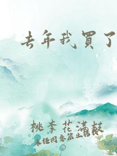 去年我买了个表