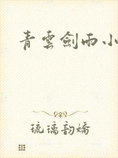 青云剑雨小说