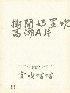 撕开奶罩吮奶头高潮A片