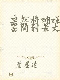 突然将蝴蝶遥控器开到最大