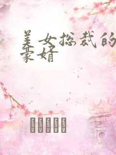 美女总裁的顶级豪婿