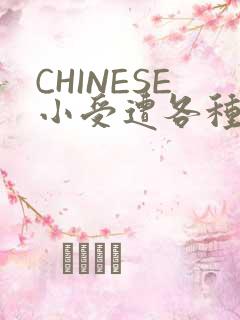 CHINESE小受遭各种打桩