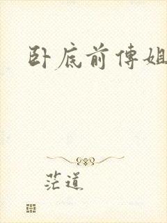 卧底前传姐妹篇