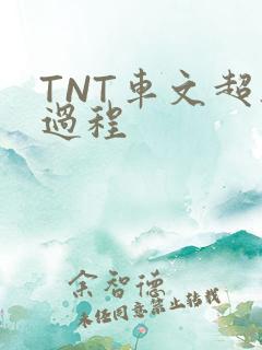 TNT车文超细过程