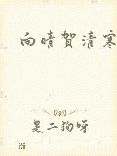 向晴贺清寒小说