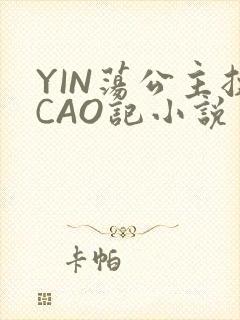 YIN荡公主挨CAO记小说