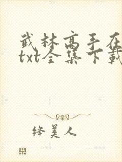 武林高手在异世txt全集下载