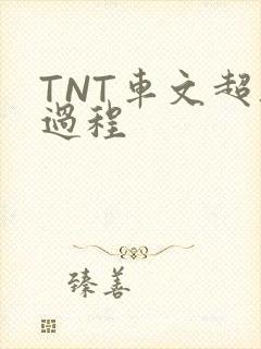 TNT车文超细过程