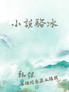小说骆冰