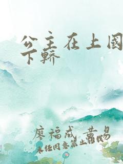 公主在上国师请下轿