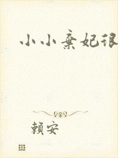 小小弃妃很倾城