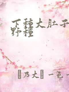 下种大肚子怀孕野种