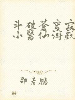 斗破苍穹寂寞的小医仙游戏世界