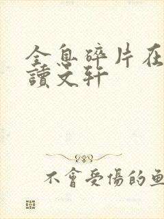 全息碎片在线阅读文轩