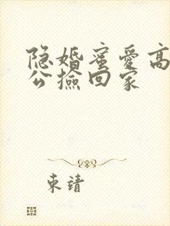 隐婚蜜爱高冷老公捡回家