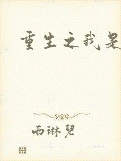 重生之我是战机