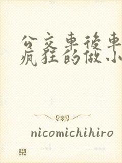 公交车后车座的疯狂的做小