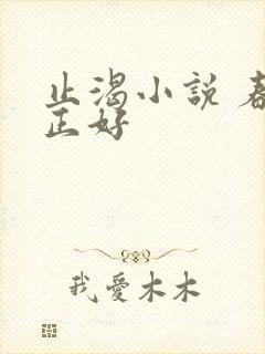 止渴小说 春光正好