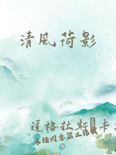 清风荷影