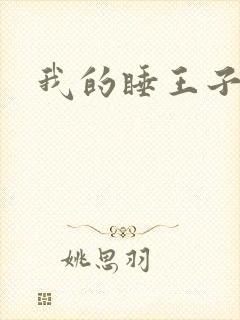 我的睡王子殿下