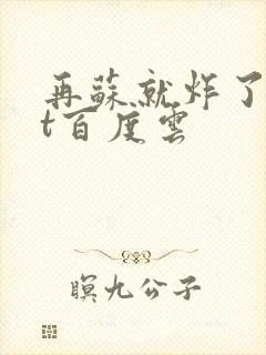 再苏就炸了txt百度云