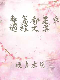 整篇都是车的肉过程文案