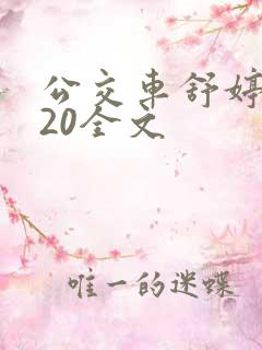 公交车舒婷1一20全文