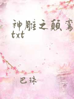 神雕之颠鸾倒凤txt