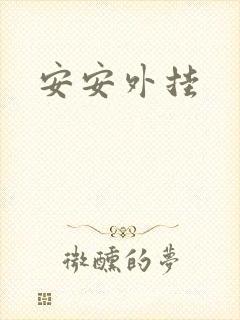 安安外挂