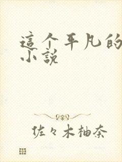 这个平凡的男子小说