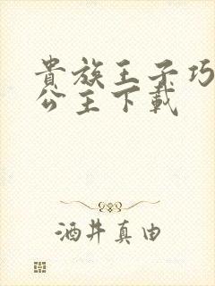 贵族王子巧遇穷公主下载