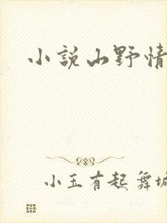 小说山野情债