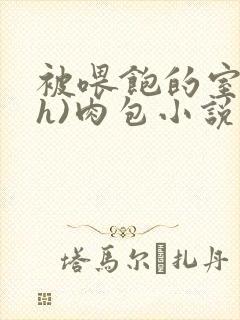 被喂饱的室友(h)肉包小说