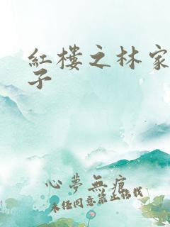 红楼之林家庶长子