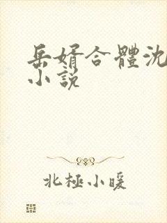 岳婿合体沈绝的小说