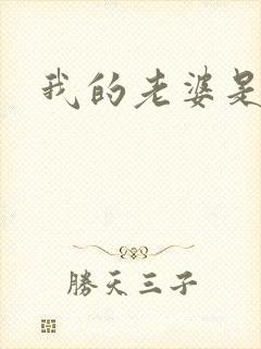 我的老婆是卧底