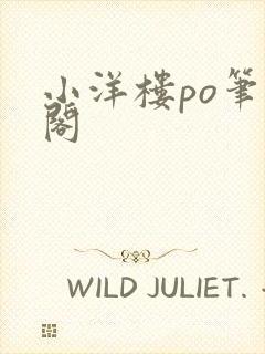 小洋楼po笔趣阁