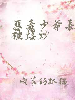 恶毒少爷长大后被爆炒